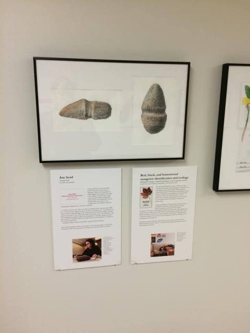 1476519_724919914229525_4152806874935948243_n