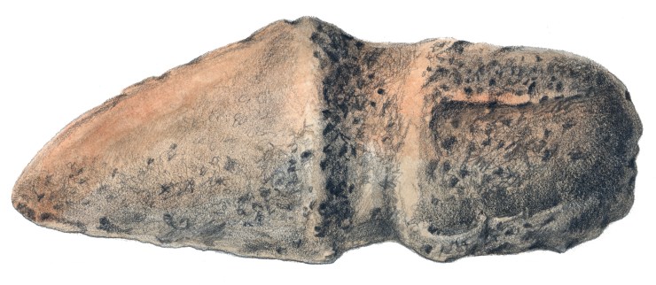 Prehistoric Maul (side view)