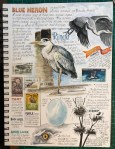 Blue Heron page&nbsp;Oct2018
